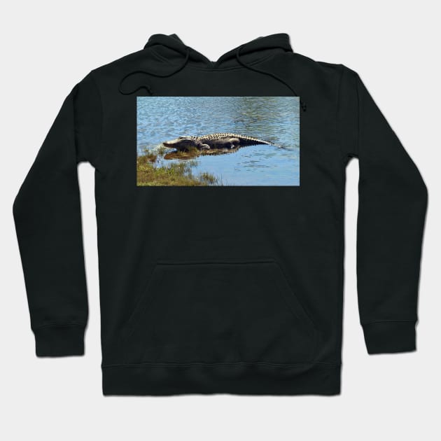 Gator Portrait Hoodie by Cynthia48